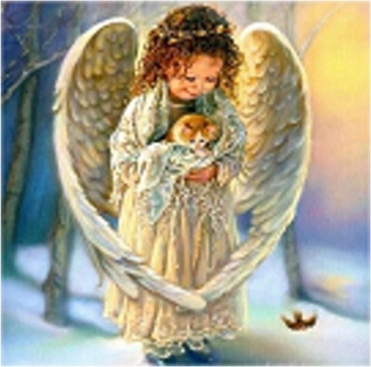 Norimpex Paint by Numbers Little Angel with Cat 40 × 50 cm