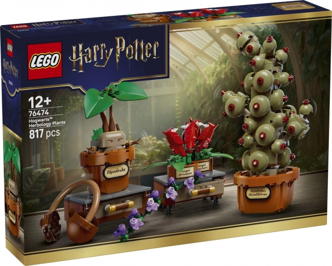LEGO Harry Potter Растения от часа по билкарство в Хогуортс