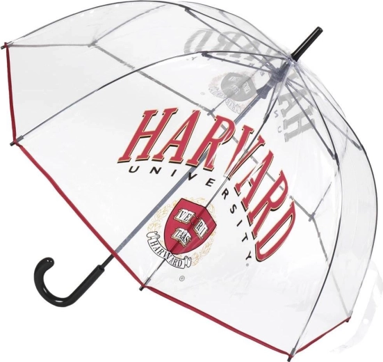 Transparent XL Harvard umbrella - 1 piece