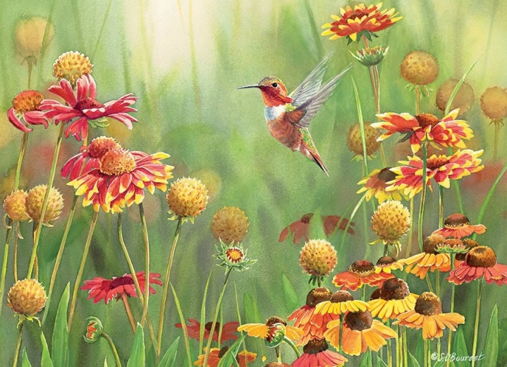 Puzzle Hummingbirds 500 Pieces COBBLE HILL