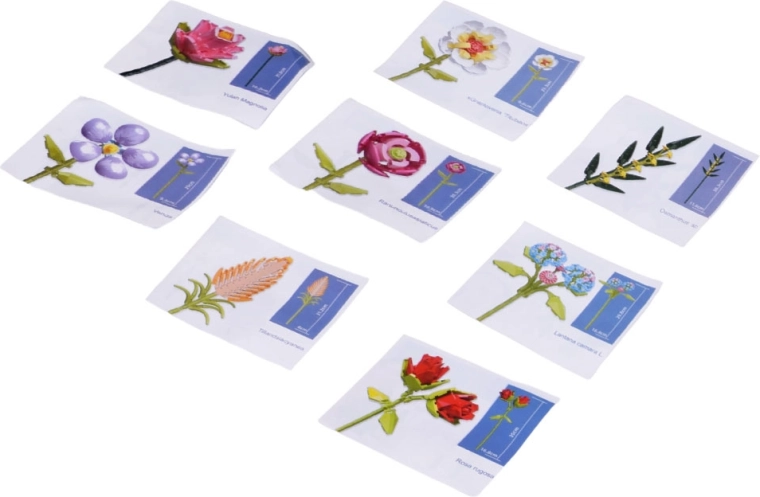 Clear instruction cards
