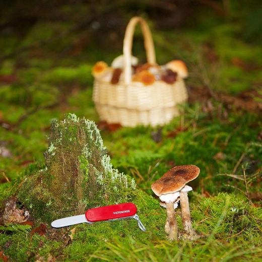 Лицензиран дизайн VICTORINOX