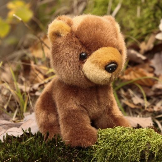 Adorable cuddly companion