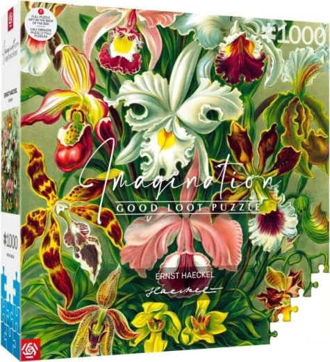 Imagination Puzzle: Ernst Haeckel – Orchid, 1000 Pieces