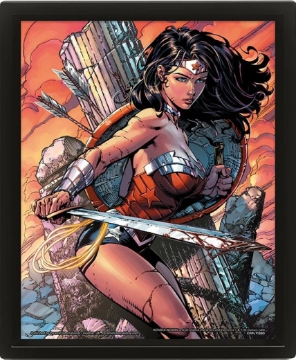 3D Picture WONDER WOMAN Battle