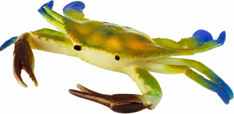 True-to-life details like a real crab