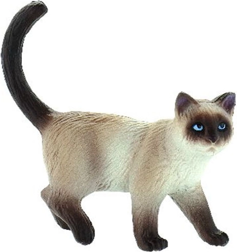 House Cat - Kimmy