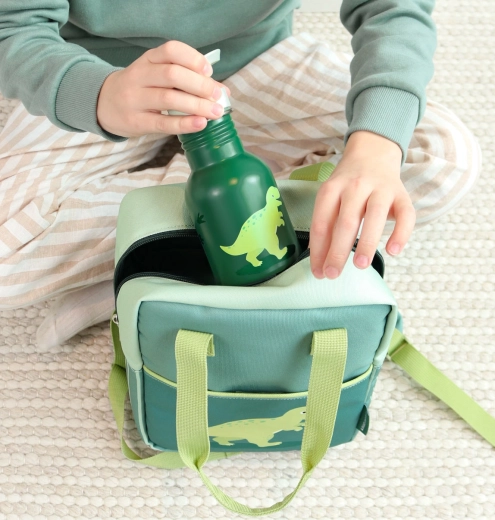Dinosaur design for every day