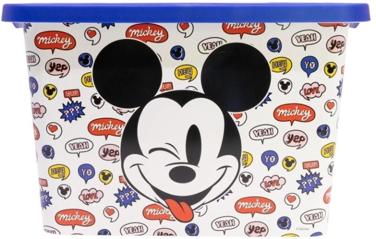 Mickey Mouse motif and 7-liter capacity