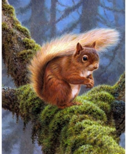 Diamond embroidery (diamond painting) squirrel 30 × 40 cm - 1 piece