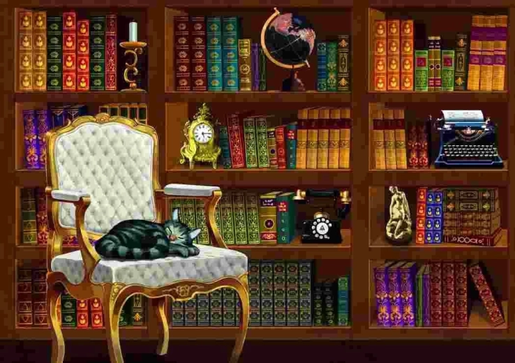 Puzzle Vintage Library 1000 Pieces