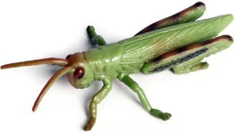 Insect – Grasshopper 9 cm