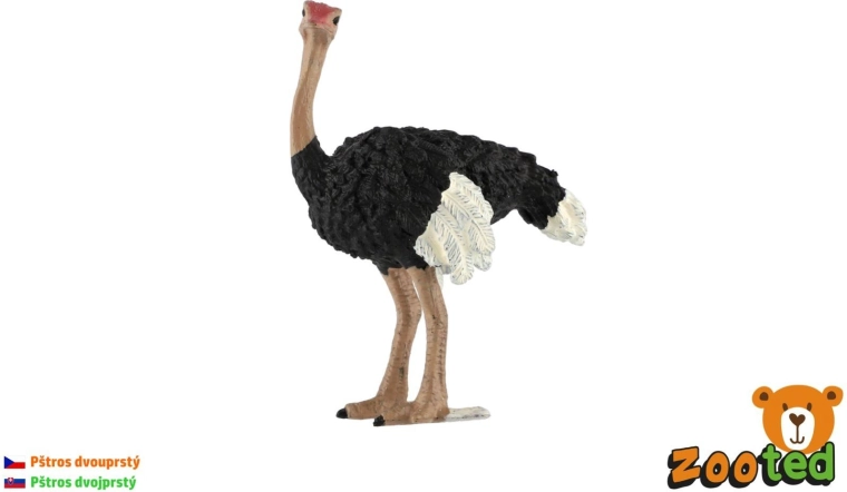 11 cm Common Ostrich Figurine