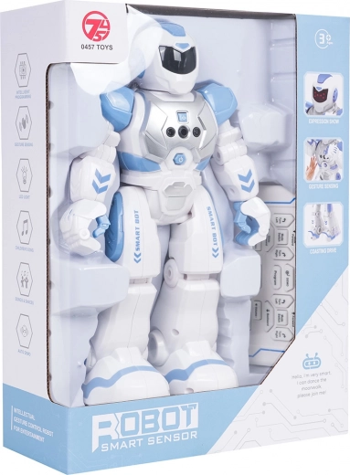Multifunctional Interactive Robot SMART-BOT with Remote Control