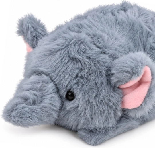 Cute animal design