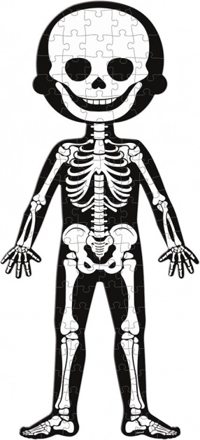 A skeleton that glows in the dark