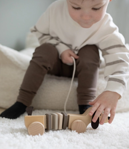A beautiful wooden toy for a child’s room