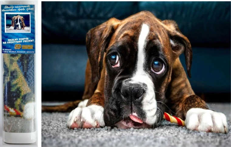 Diamond painting - Boxer dog