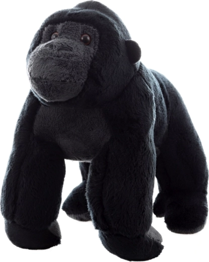 Безопасна от 0+