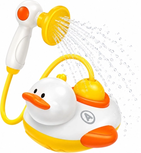 Water pump with hand shower