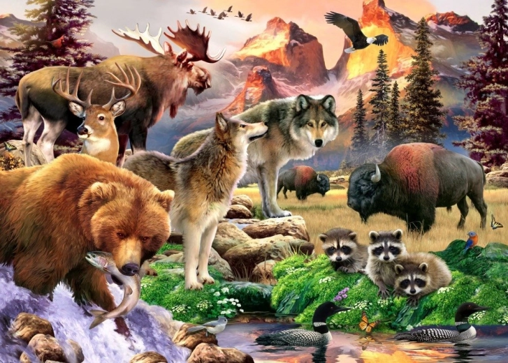 Nature Puzzle 500 Pieces