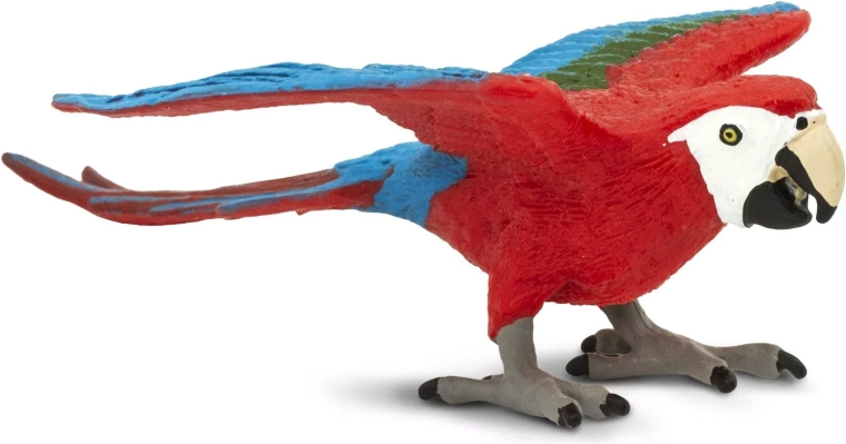 Realistic macaw design
