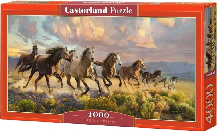 Castorland puzzle Prairie Dogs 4000 pieces