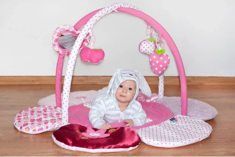 Detachable arch with toys