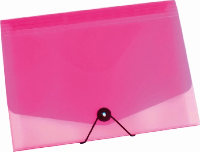 A4 Document Organizer with Elastic, Clear/Pink – 13 Pockets