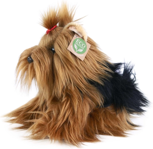 Soft Yorkshire Terrier