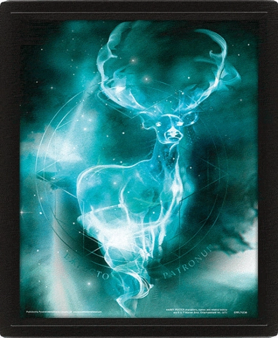 3D Picture Harry Potter - Patron