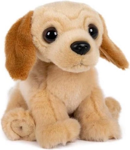 Plush Sitting Labrador 15 × 17 cm