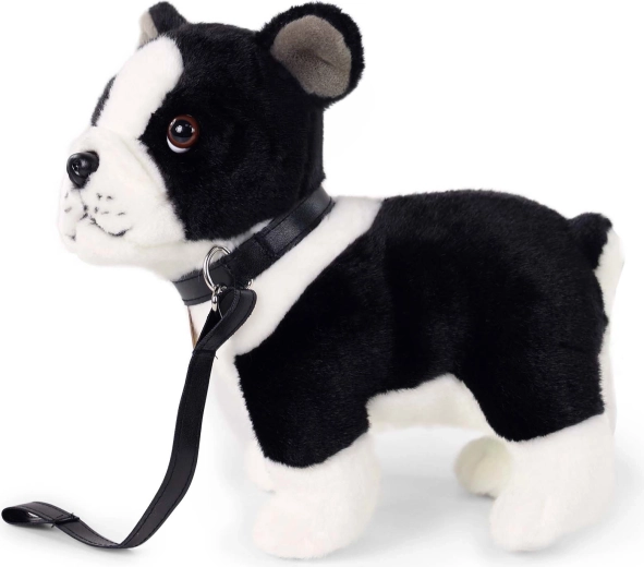 Leash for playtime walks