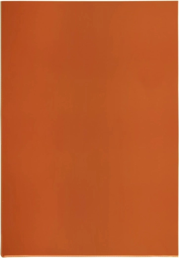 Transparent A4 L Sleeve from PVC, red, 140 microns