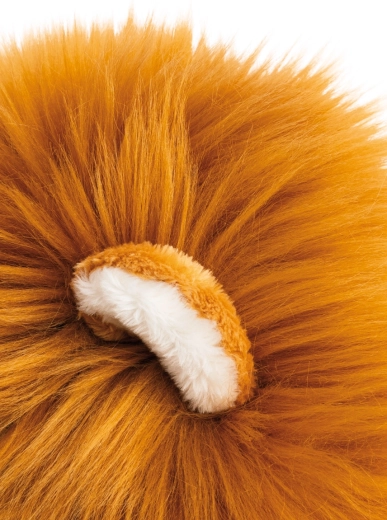 Majestic fluffy mane