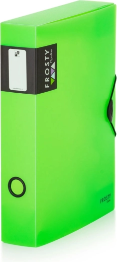 Box with Elastic A4 Opaline Frosty Green