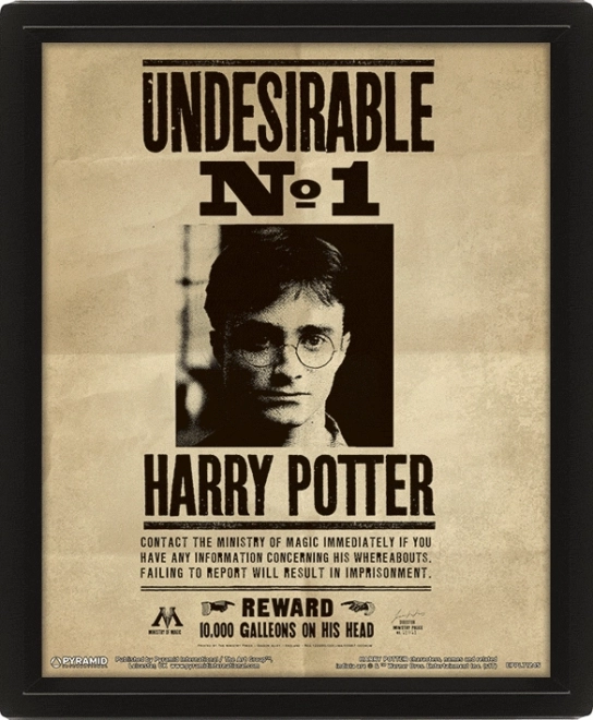 3D Picture Harry Potter - Sirius