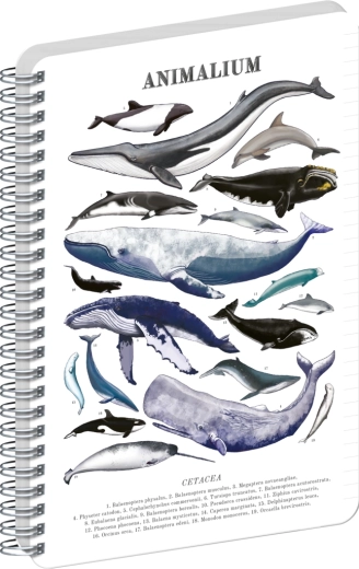 Notique Animalium Under the Sea A4 Ruled Spiral Notebook