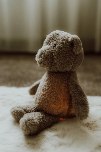 Soft plush companion