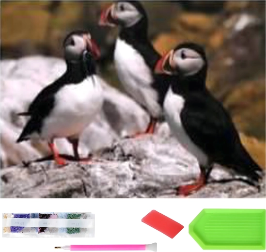 Diamond Painting XXL 120 × 60 cm – puffins, mosaic kit