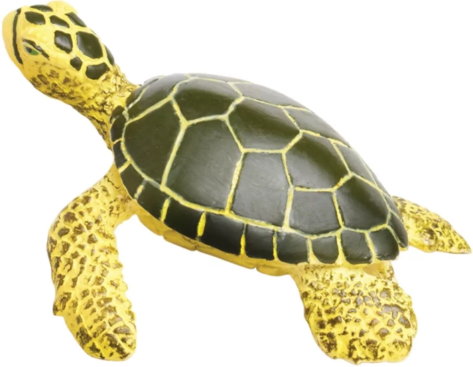 Ideal for learning about nature and the ocean