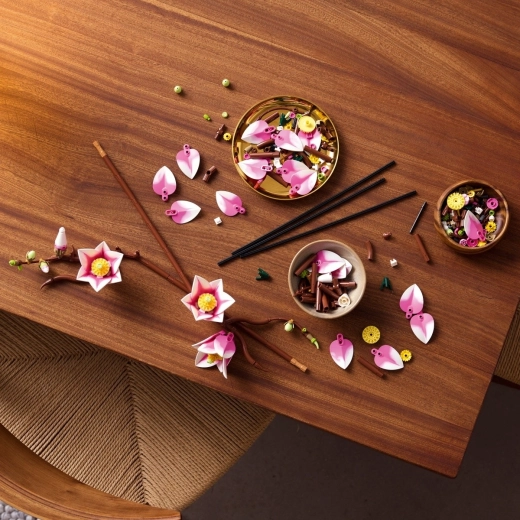 Успокояващо строене за възрастни