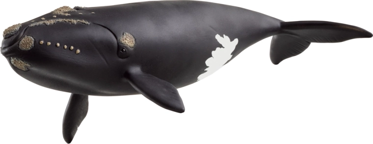 Фигурка Schleich – северноатлантически гладък кит