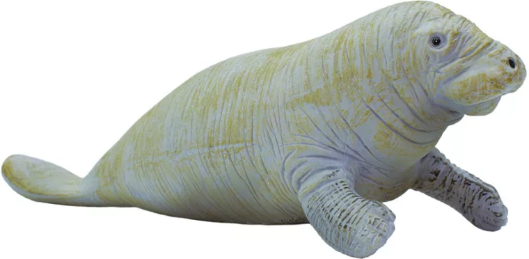 Manatee Safari Ltd. - 1 piece