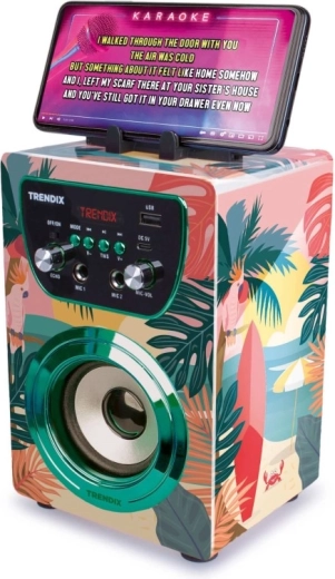 Bluetooth connectivity and karaoke from your phone
