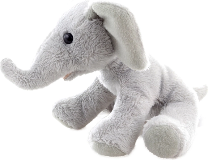 Compact 15 cm size