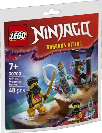 Кубчета NINJAGO: битката на Арин с дракона