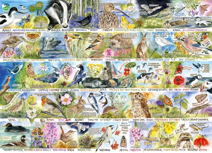 Пъзел GIBSONS RSPB Магията на пролетната природа 1000 части