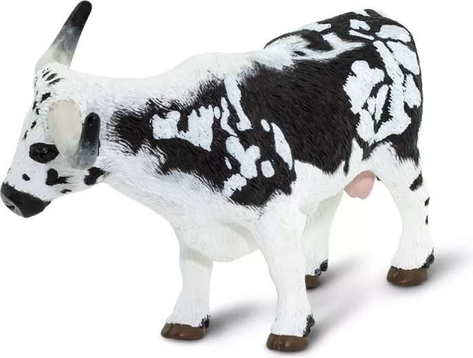 Safe and non-toxic toy