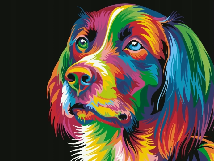 Norimpex Paint by Numbers Colorful Dog 40 × 50 cm